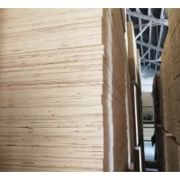 China manufacturing Poplar LVL Plywood